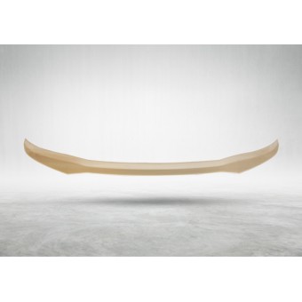 Tavan Spoyleri X3:G01